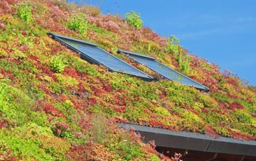 Vickerstown living roof systems